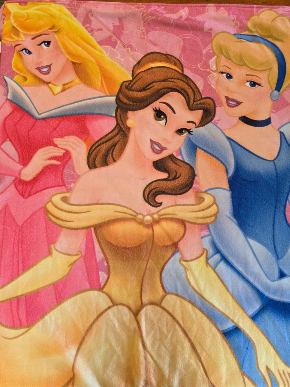 Disney Princess Sleeping Bag Lightweight Belle Cinderella Aurora60" x 24"